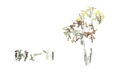 Blumige Typo